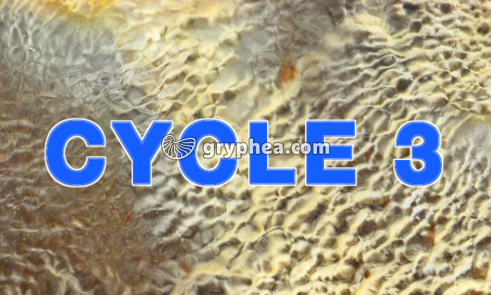 EP Aperçu CYCLE 3 - gryphea.com